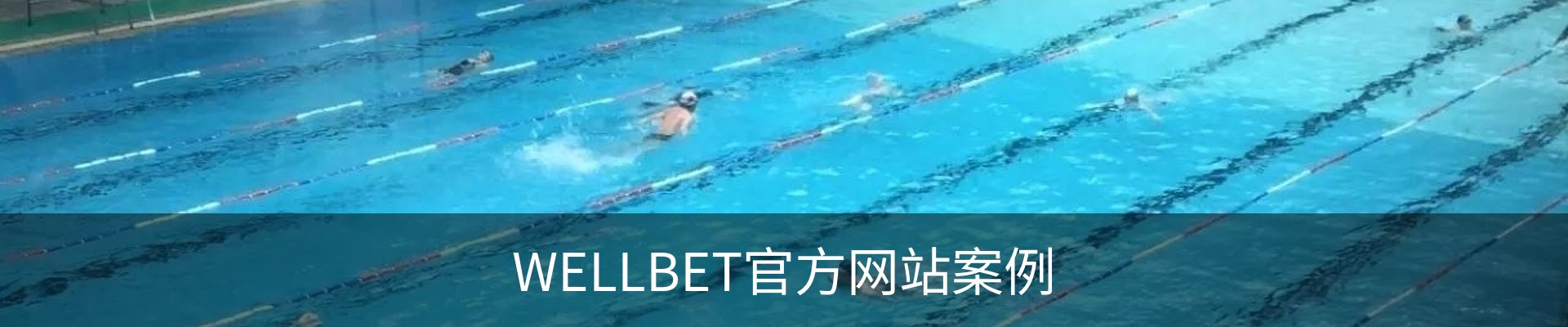 WELLBET官方网站案例